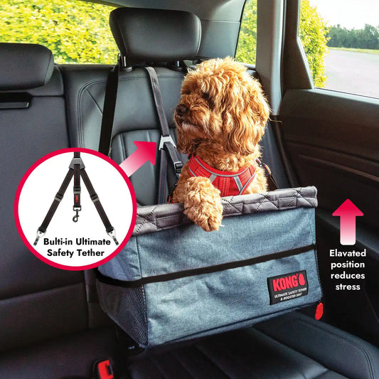 KONG Utility Safety Tether and Booster Seat