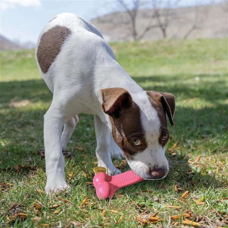 KONG Puppy Goodie Bone Pink