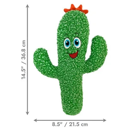 Kickeroo Cactus