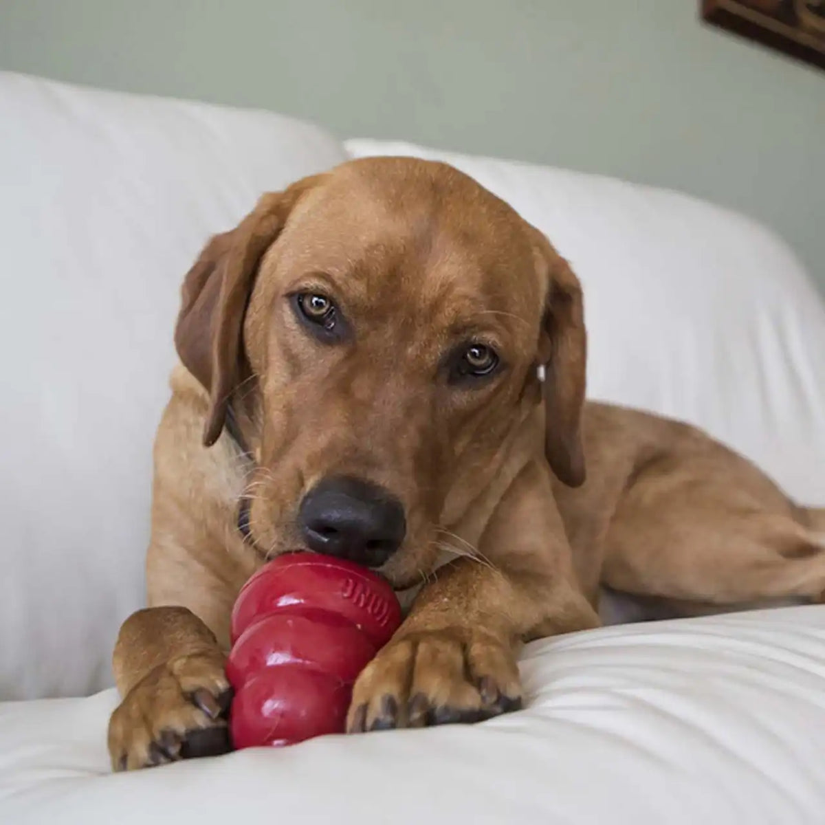 Easy Treat Peanut Butter