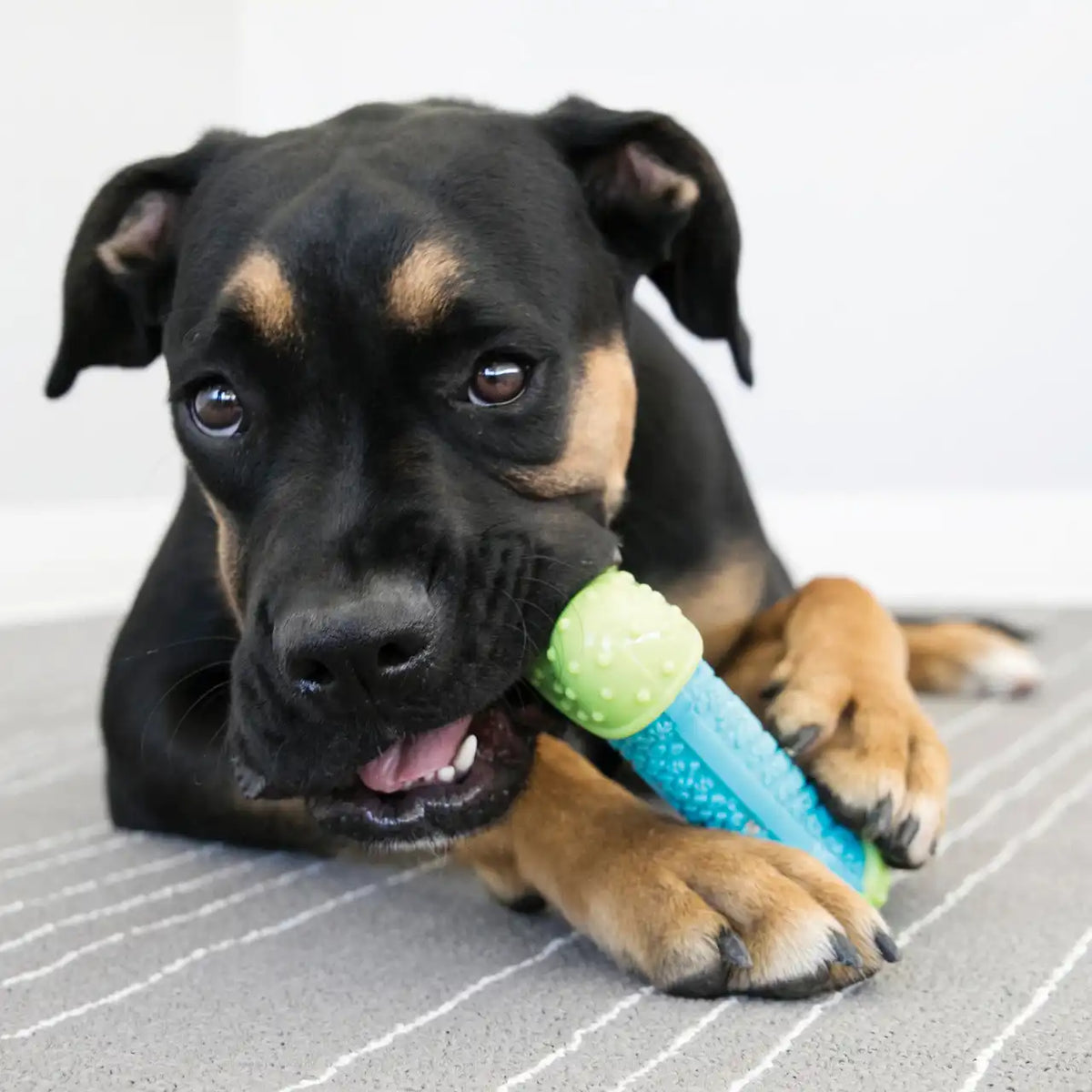 CoreStrength Bone
