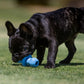 KONG Binkie Blue