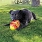 Flexball Sport Football