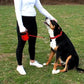 KONG Retractable Leash Terrain Red