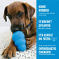 KONG Puppy Blue