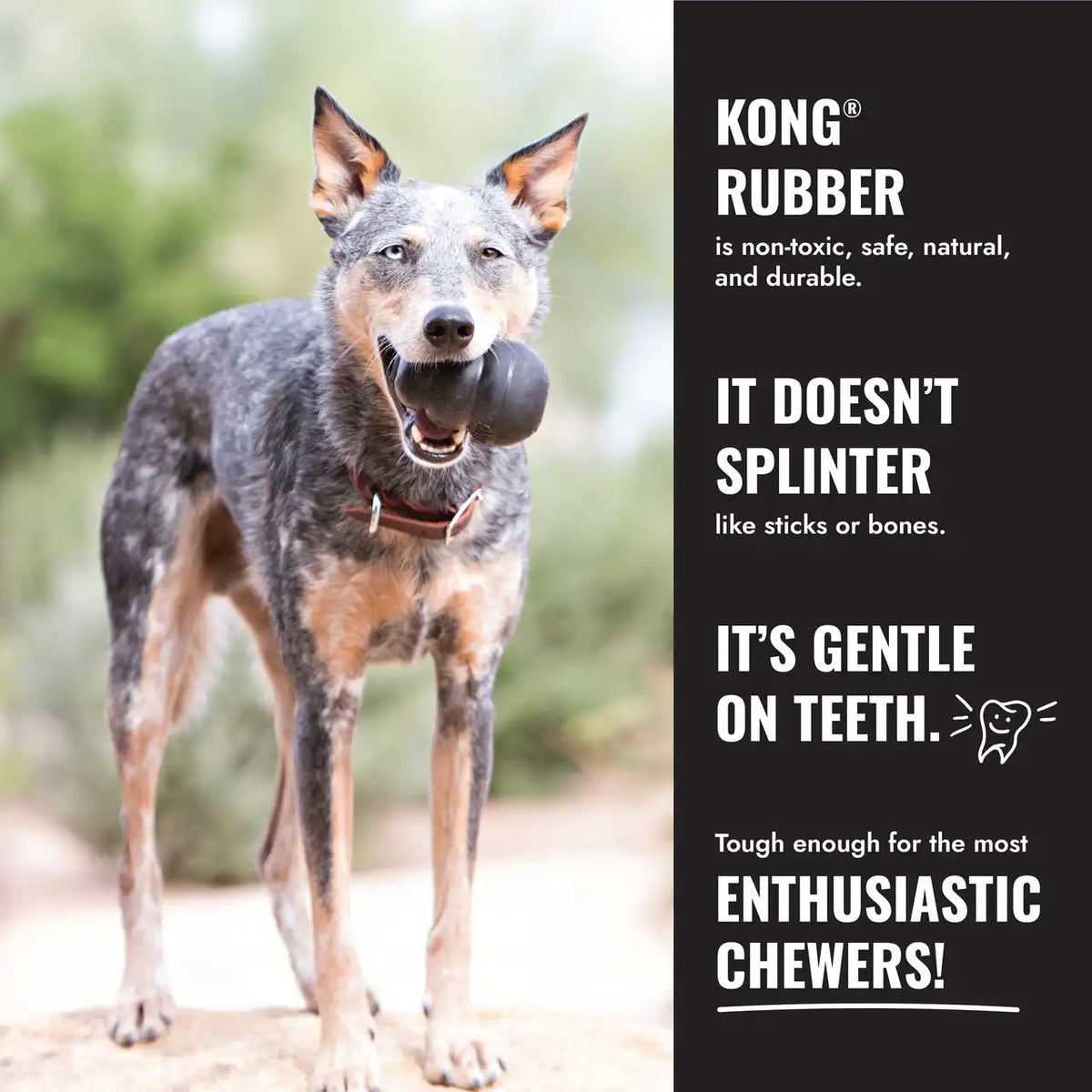 KONG Extreme Ball