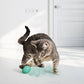 Infused™ Catnip Egg 2-pk