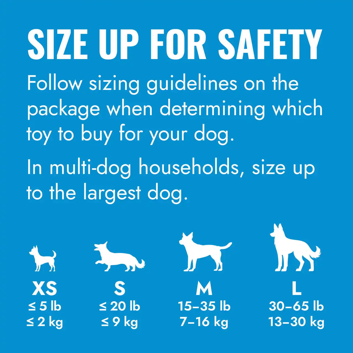 KONG Puppy Blue