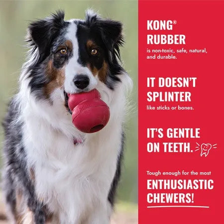 KONG Classic Gold