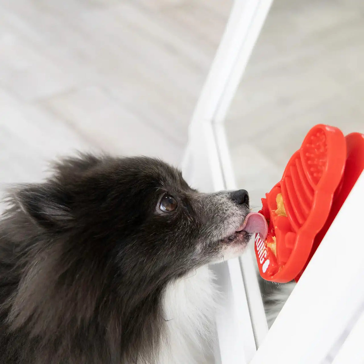 Licks