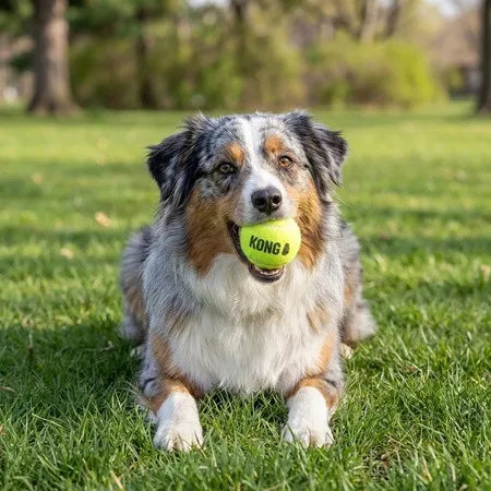 SqueakAir Balls, 3 Pack