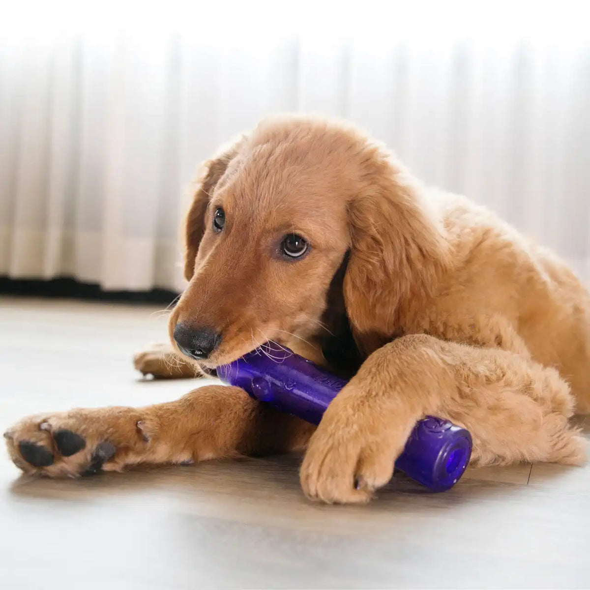 Squeezz Stick, Assorted Colors