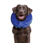 E-Collar Cloud