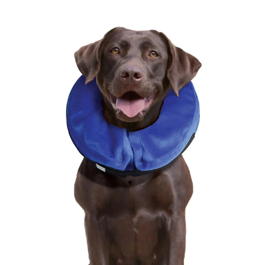 E-Collar Cloud