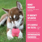 KONG Puppy Goodie Bone Pink