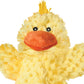 Dr. Noyz Duck
