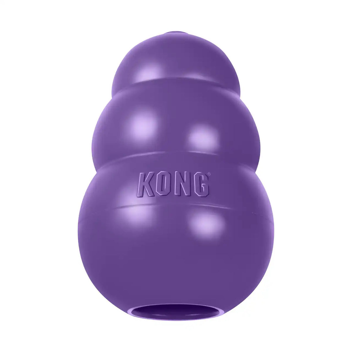 KONG Senior