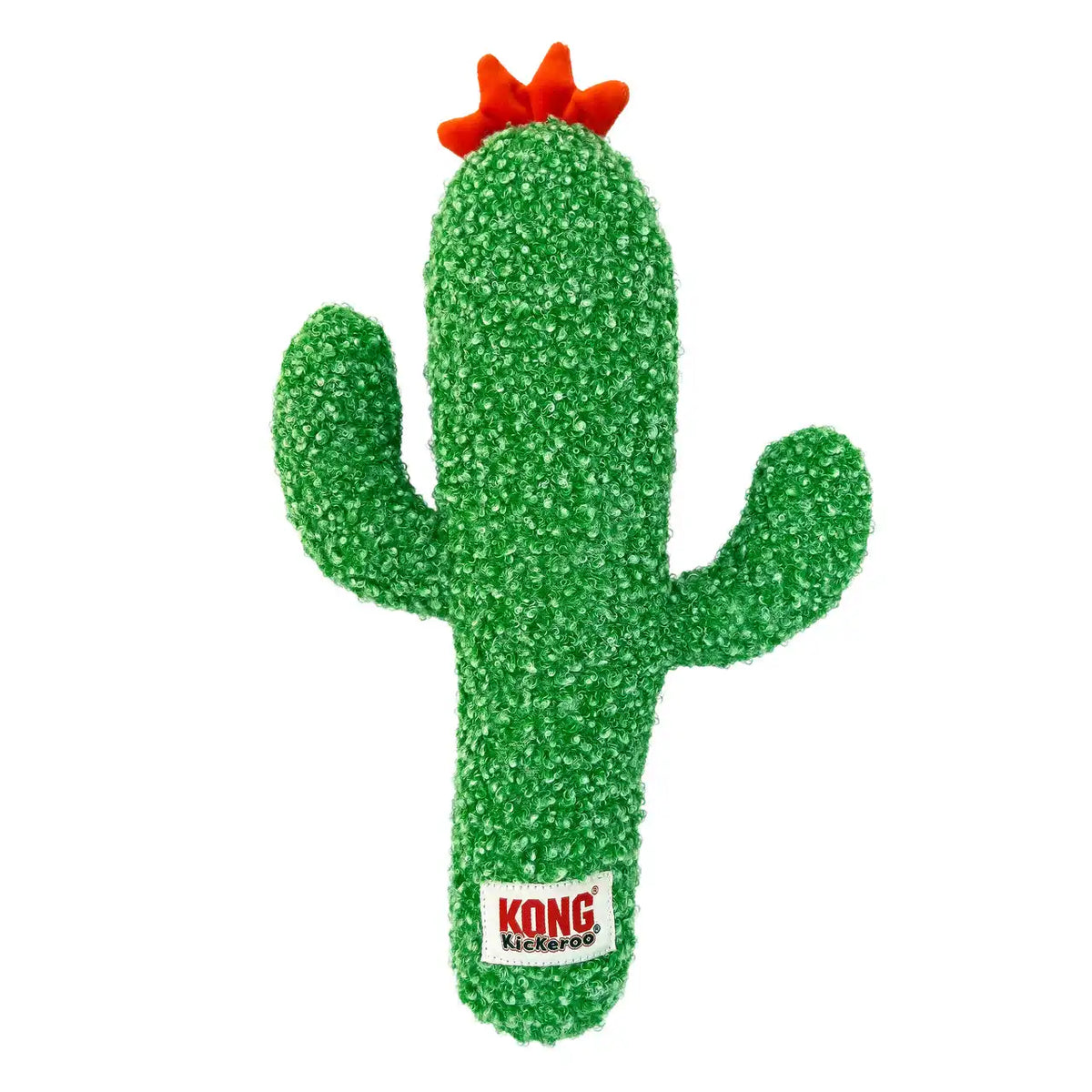 Kickeroo Cactus