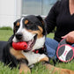 KONG Retractable Leash Explore Red