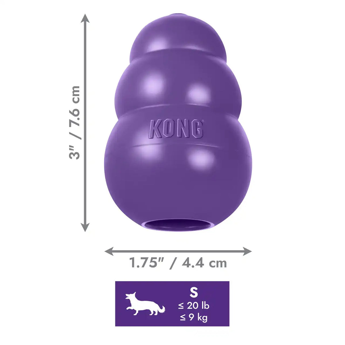KONG Senior